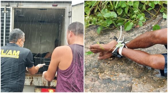 Imagens Fortes corpo com pés e mãos amarradas é encontrado no Distrito de Manaus Portal Uno