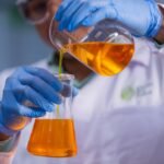 Amazônia brasileira detém a energia do futuro