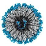 Nova tecnologia promove repigmentação capilar