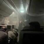 Japan Airlines proíbe animais na cabine e levanta polêmica