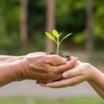 São Paulo terá programa de pagamento de serviços ambientais
