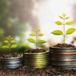 Interação entre investimentos e questões ambientais ganha notoriedade