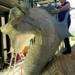 Monumento do Rio São Francisco será inaugurado em MG