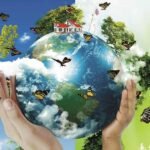 Dia Mundial do Meio Ambiente é celebrado em 5 de junho