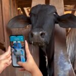 MUU Agrotech e NVIDIA apresentam inteligência artificia