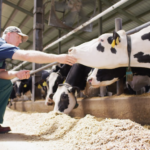 Elanco cresce em receita pelo quarto trimestre consecutivo