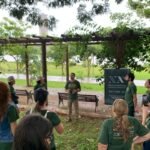 Filosofia e natureza: Nova Acrópole inspira consciência no Dia da Terra