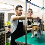 CEO lista dicas e tendências para profissionais do setor pet