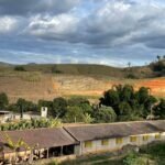 Frigorífico aposta em sustentabilidade para atrair a geração Z