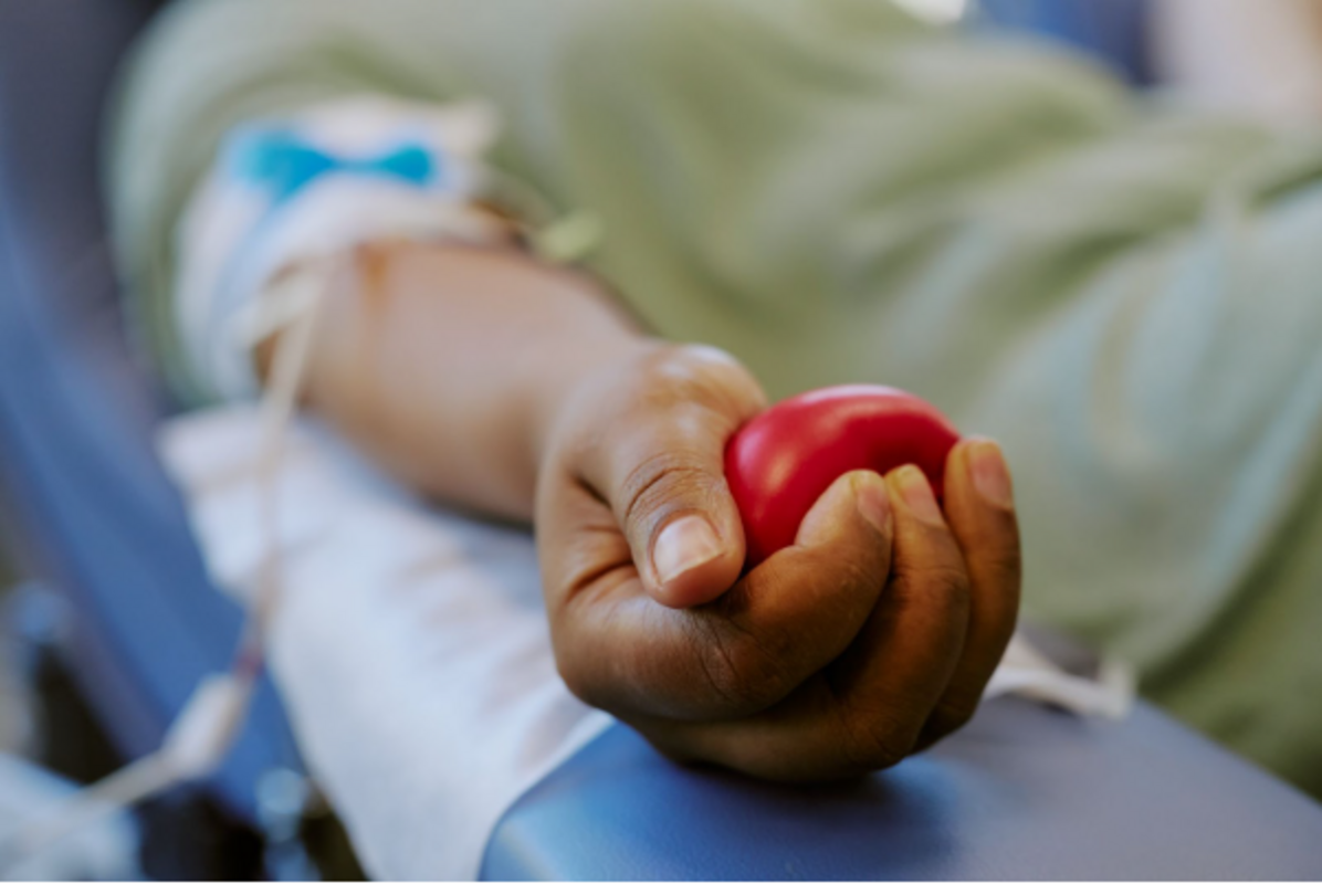 Doar sangue exige cuidados e critérios específicos