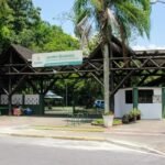 Forest Run leva corrida ao ar livre para o Jardim Botânico de Santos