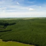 Guararapes apresenta relatório de sustentabilidade