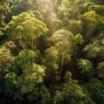 Belém sedia seminário sobre turismo regenerativo na Amazônia