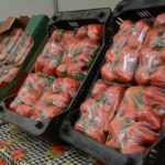 Atibaia é destaque pela produção de qualidade dos morangos