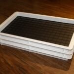 Padronização e sustentabilidade ganham espaço nas cozinhas profissionais