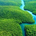 Brasil terá primeiro projeto do mundo na metodologia VM0048