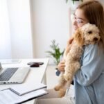 Telemedicina veterinária avança e muda rotina de atendimento