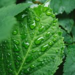 Alta no mercado de fertilizantes favorece indústria química