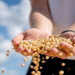 Fiagros ganham novo impulso com marco regulatório