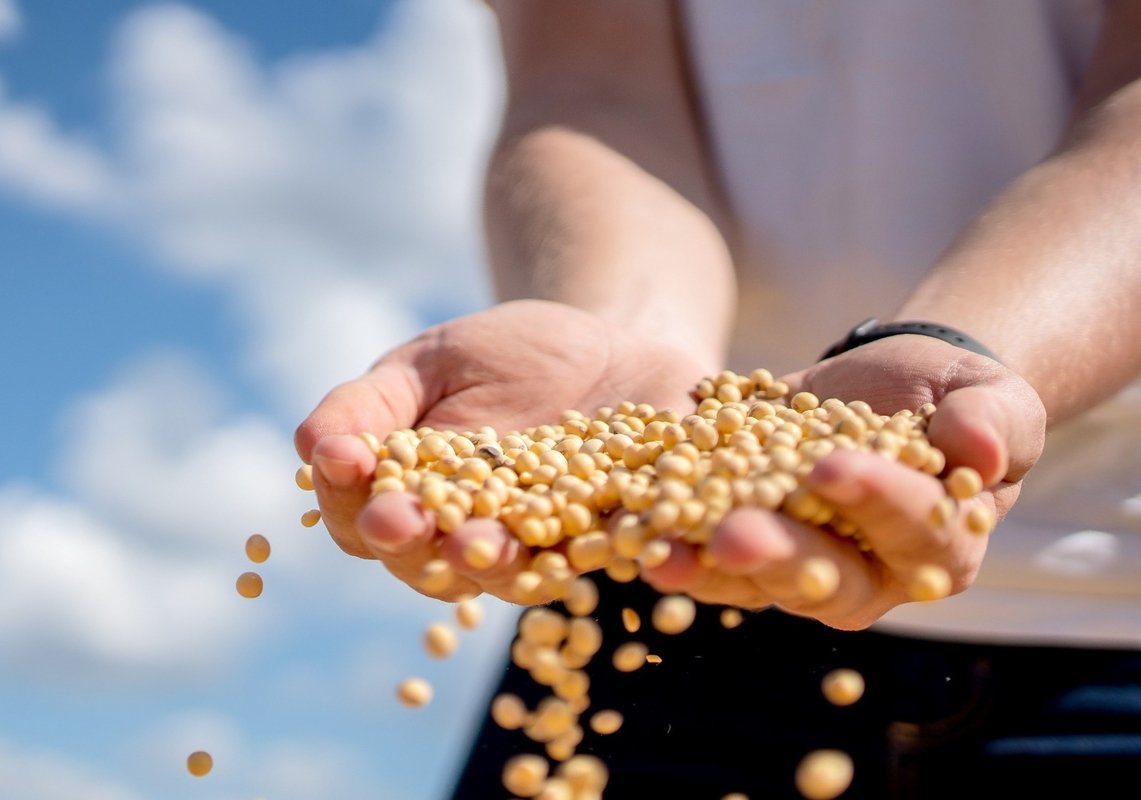 Fiagros ganham novo impulso com marco regulatório