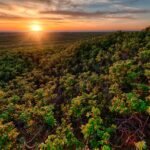 Ecora, certificadora de carbono, atuará em todos os biomas