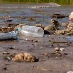 Humanidade gera mais de 400 milhões de toneladas de plástico