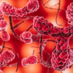 ANS avalia inclusão de tratamento para mielofibrose no rol