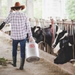 Escovas técnicas em nylon impulsionam higiene e eficiência na pecuária leiteira