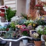 Giuliana Flores prevê mais de 50 novas franquias em 2026