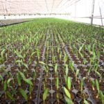 Iniciativas de empresas impulsionam gestão hídrica no Brasil